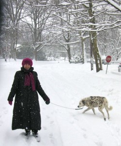 An abundance of snow, and a white dog.